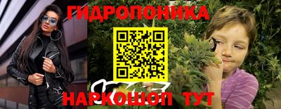 амф Кингисепп