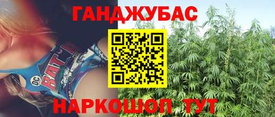амф Кингисепп