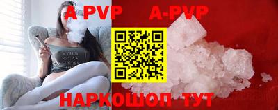 амф Кингисепп