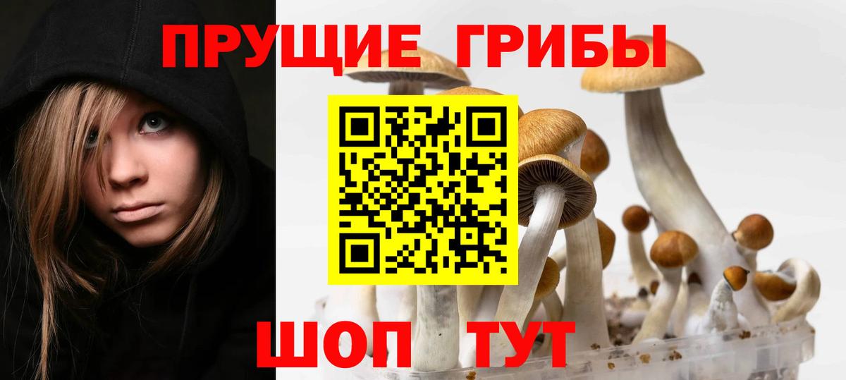 Галлюциногенные грибы MAGIC MUSHROOMS  наркота  Вход с VPN  Чебаркуль  Галлюциногенные грибы Psilocybe 